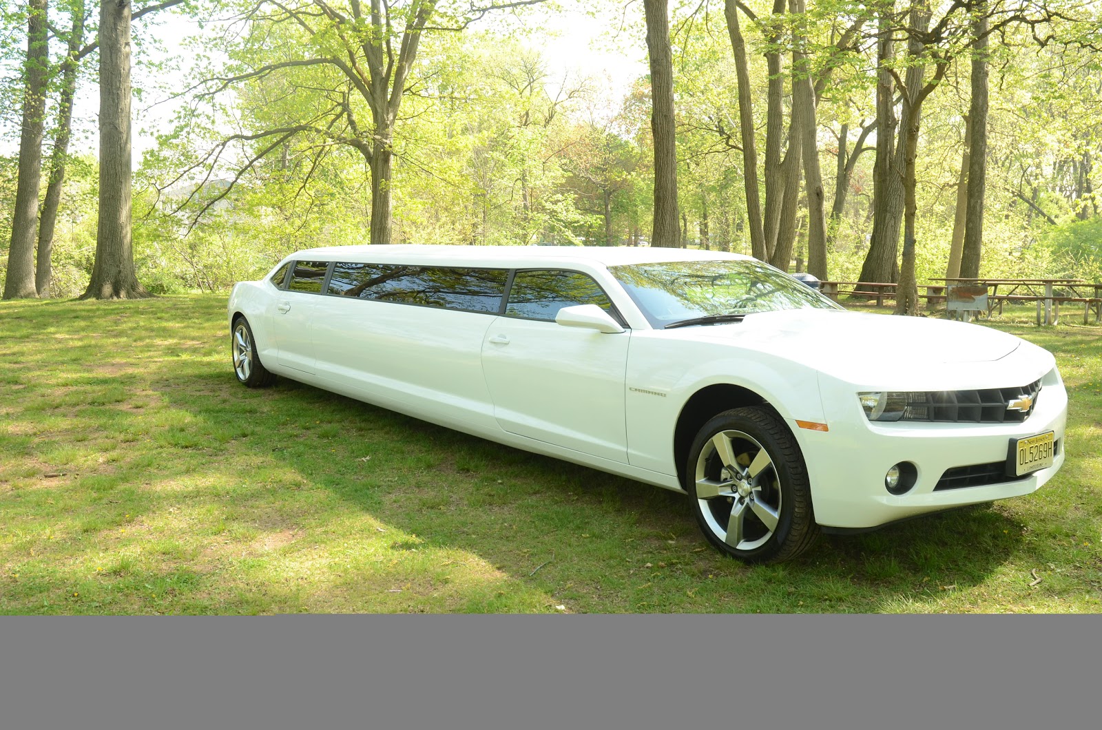 Photo of TRU Limousine in Linden City, New Jersey, United States - 3 Picture of Point of interest, Establishment