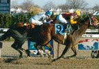 Photo of Gary P Gullo Racing Stable in Elmont City, New York, United States - 10 Picture of Food, Point of interest, Establishment