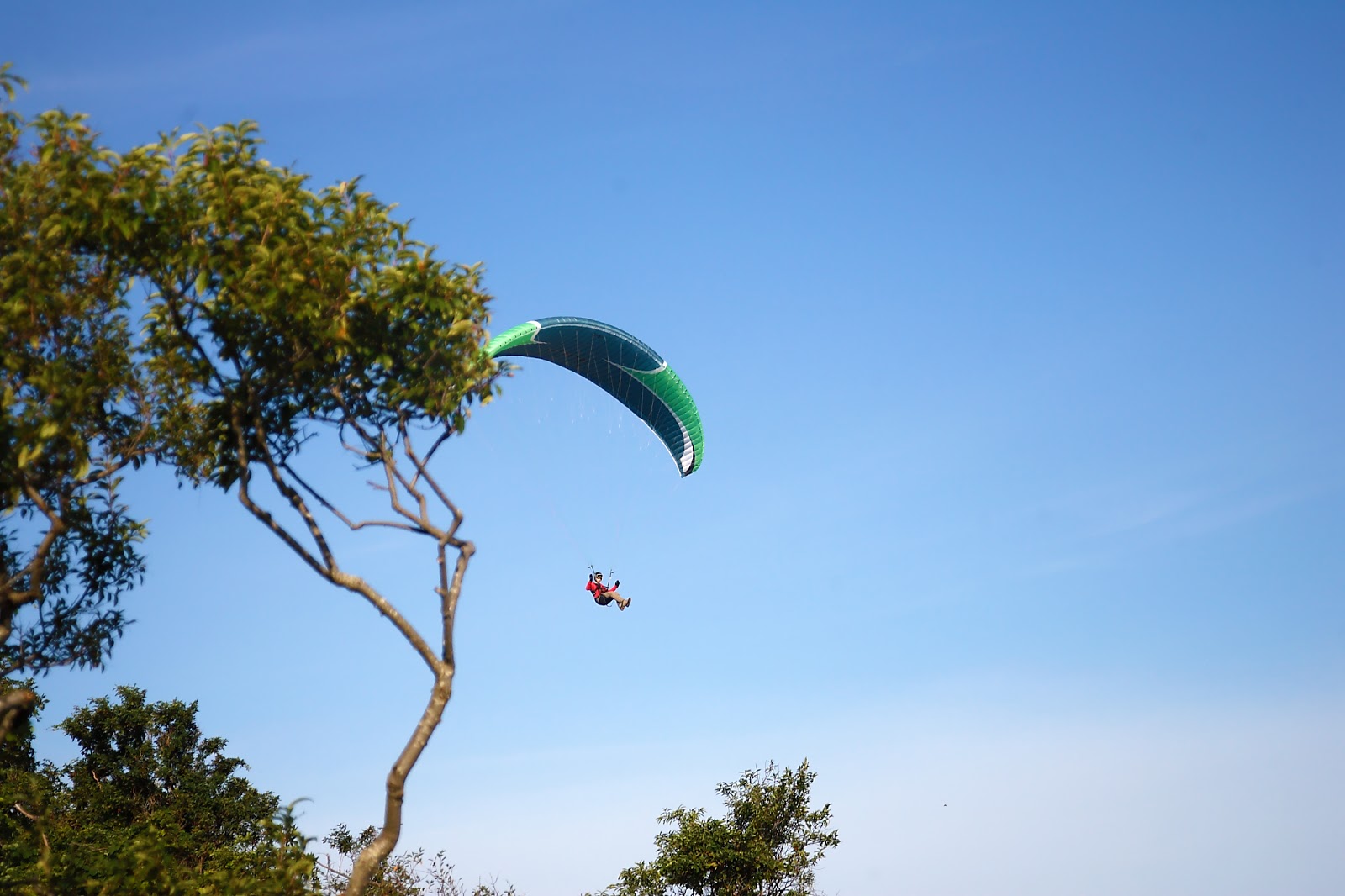 Photo of GMI Paragliding School in Glen Cove City, New York, United States - 7 Picture of Point of interest, Establishment