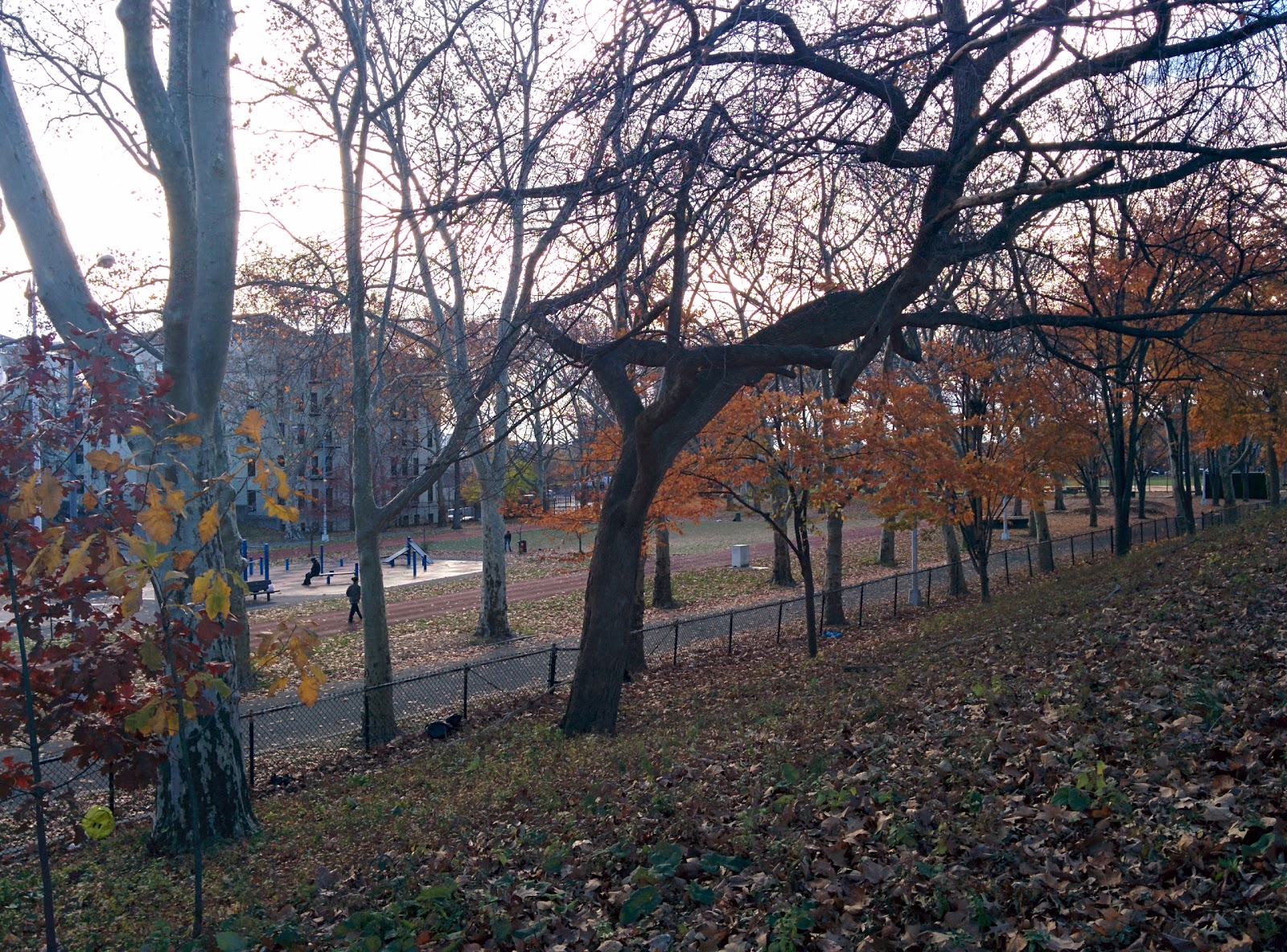 Photo of Saint Mary's Park in Bronx City, New York, United States - 4 Picture of Point of interest, Establishment, Park