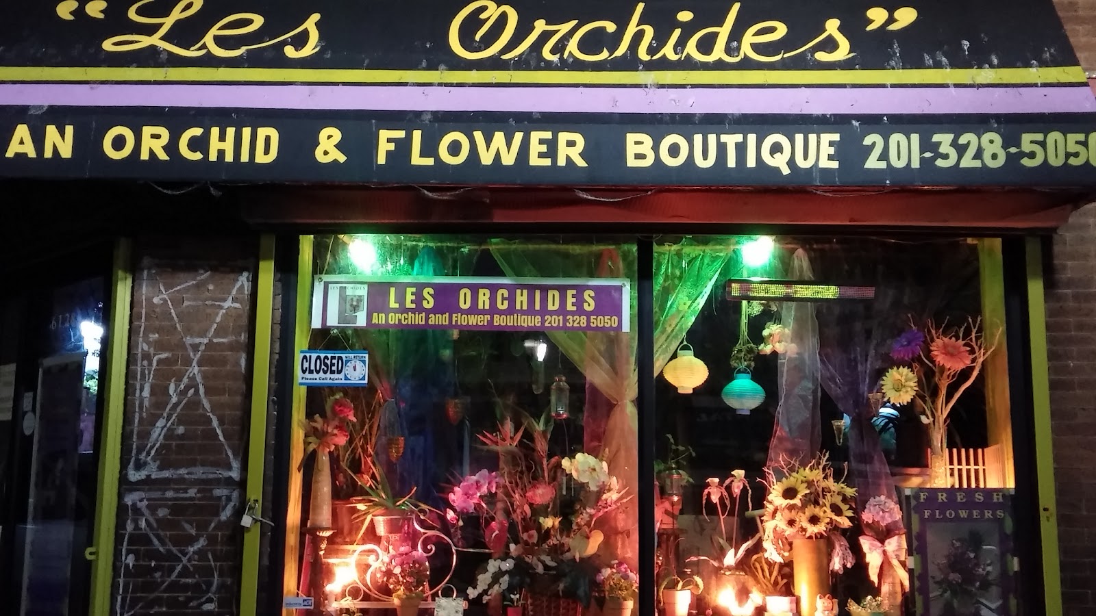 Photo of Les Orchides. in West New York City, New Jersey, United States - 5 Picture of Point of interest, Establishment, Store, Florist