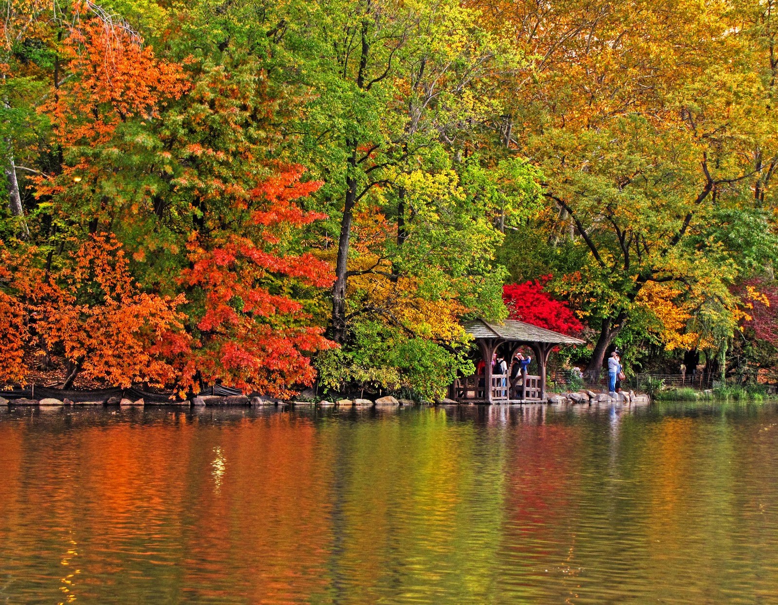 Photo of North Meadow in New York City, New York, United States - 9 Picture of Point of interest, Establishment, Park