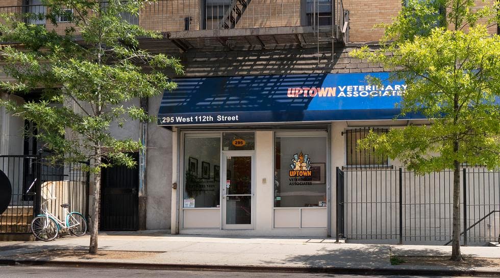 Photo of Uptown Veterinary Associates in New York City, New York, United States - 1 Picture of Point of interest, Establishment, Veterinary care