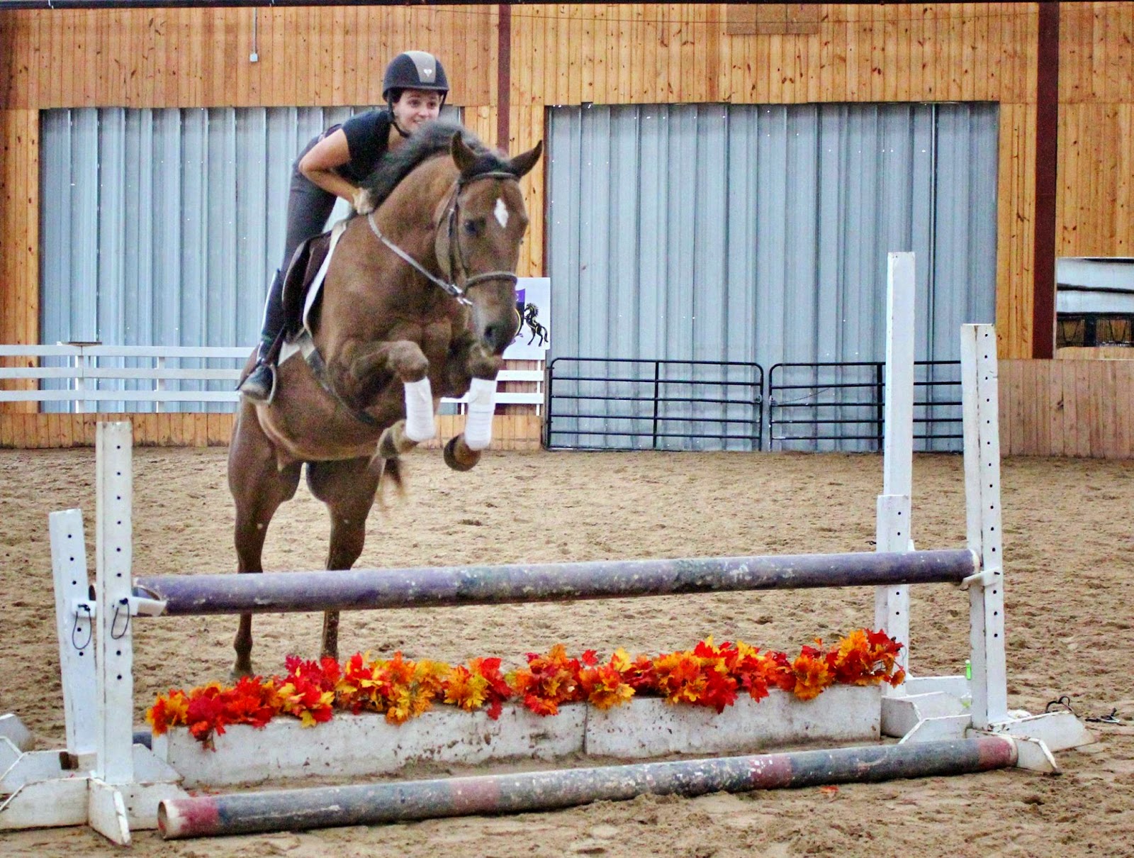 Photo of New York Equestrian Center in West Hempstead City, New York, United States - 7 Picture of Point of interest, Establishment