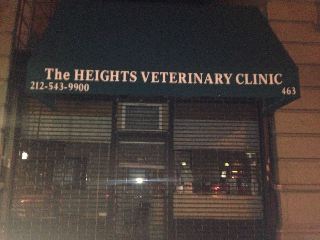 Photo of Heights Veterinary Clinic in New York City, New York, United States - 1 Picture of Point of interest, Establishment, Veterinary care