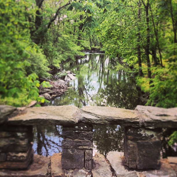 Photo of Rye Nature Center in Rye City, New York, United States - 1 Picture of Point of interest, Establishment, Park