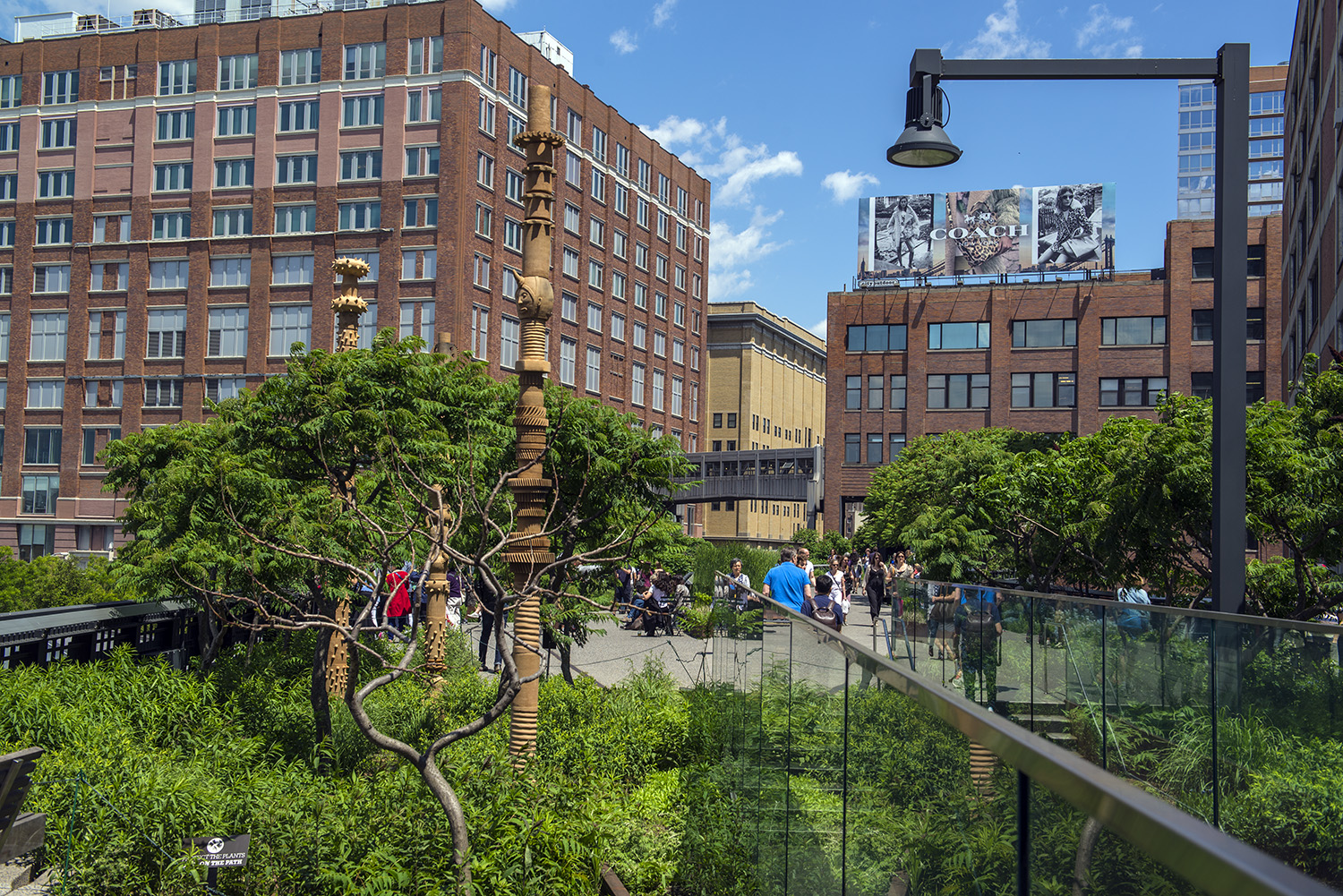 Photo of The High Line in New York City, New York, United States - 2 Picture of Point of interest, Establishment, Park