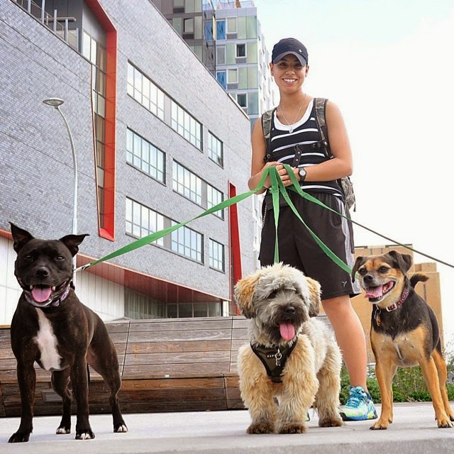 Photo of GIMME PAW Dog Walking Service Long Island City Dog Walks Dog Walker Dog Walkers in Queens City, New York, United States - 6 Picture of Point of interest, Establishment