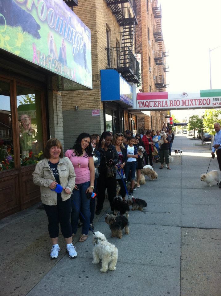 Photo of Maria's Pet Shop & Grooming in Bronx City, New York, United States - 2 Picture of Point of interest, Establishment, Store, Pet store