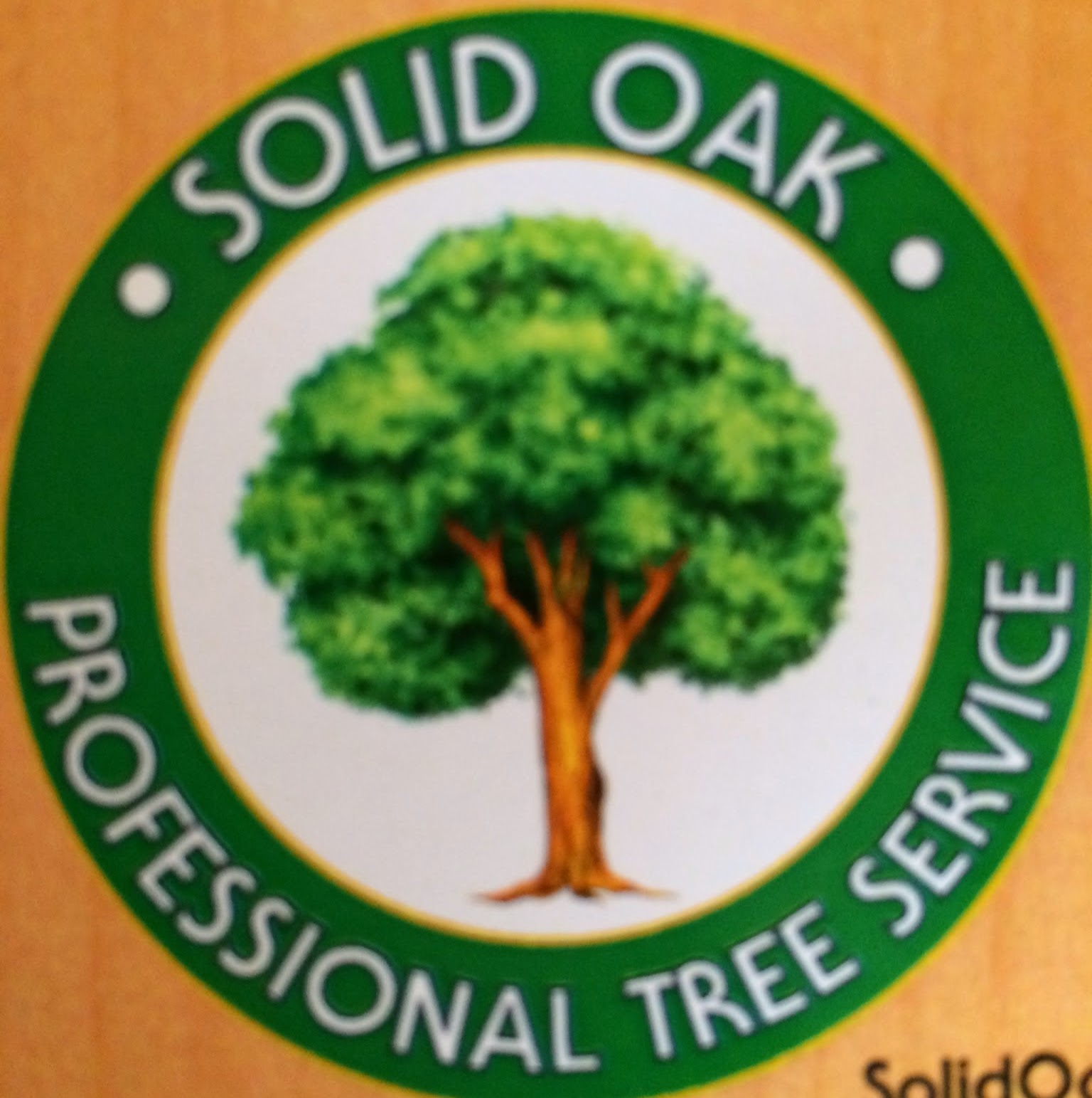 Photo of Solid Oak Professional Tree Service in Staten Island City, New York, United States - 3 Picture of Point of interest, Establishment