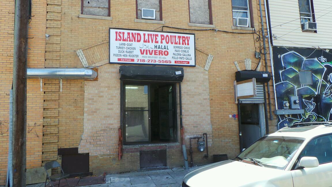 Photo of Island Live Poultry in Richmond City, New York, United States - 1 Picture of Food, Point of interest, Establishment