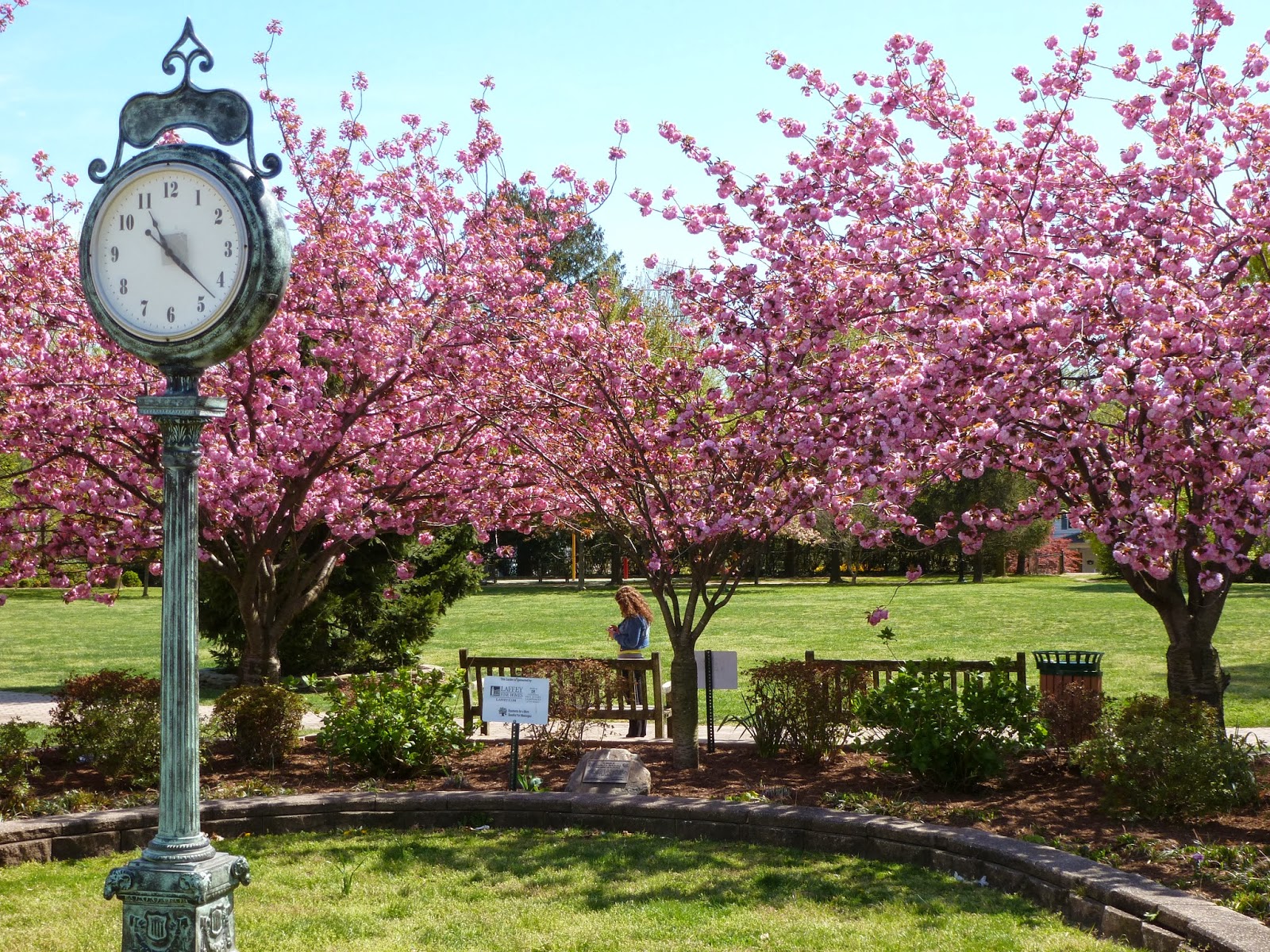 Photo of Blumenfeld Family Park in Port Washington City, New York, United States - 1 Picture of Point of interest, Establishment, Park