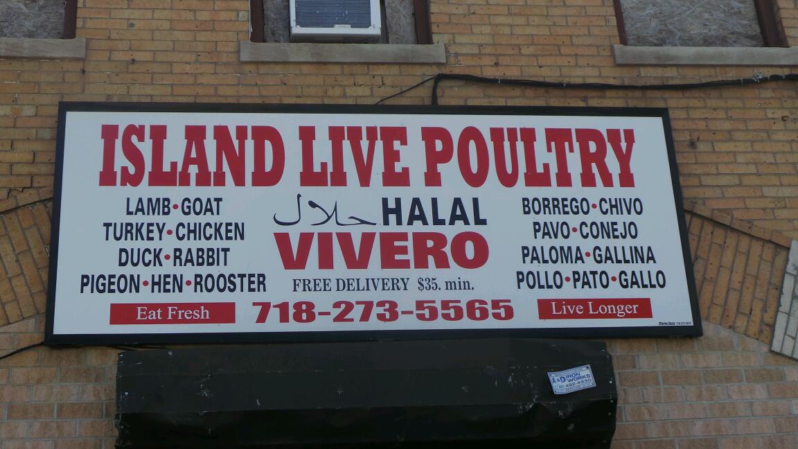 Photo of Island Live Poultry in Richmond City, New York, United States - 2 Picture of Food, Point of interest, Establishment