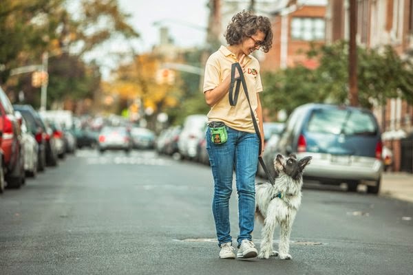 Photo of Dog Liberty in Queens City, New York, United States - 5 Picture of Point of interest, Establishment