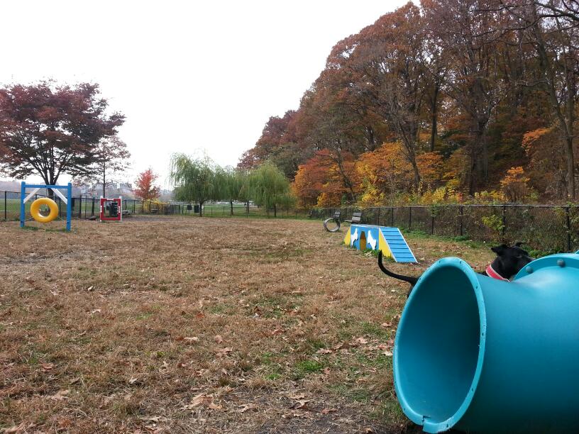 Photo of Canine Court in Bronx City, New York, United States - 1 Picture of Point of interest, Establishment, Park