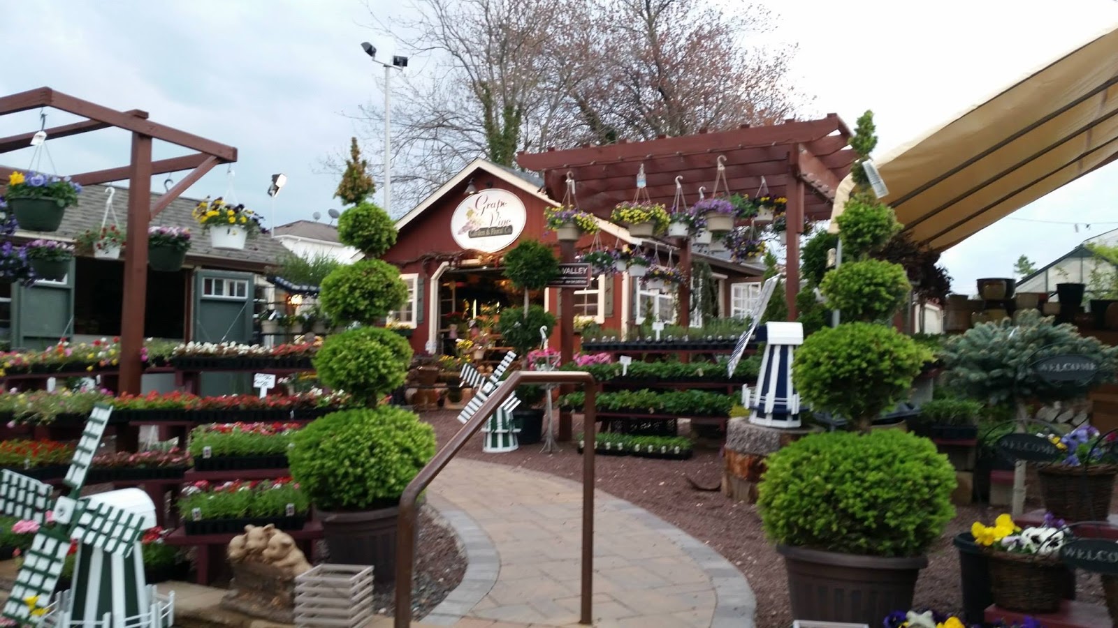 Photo of Grapevine Garden & Floral in Staten Island City, New York, United States - 2 Picture of Point of interest, Establishment, Store, Florist