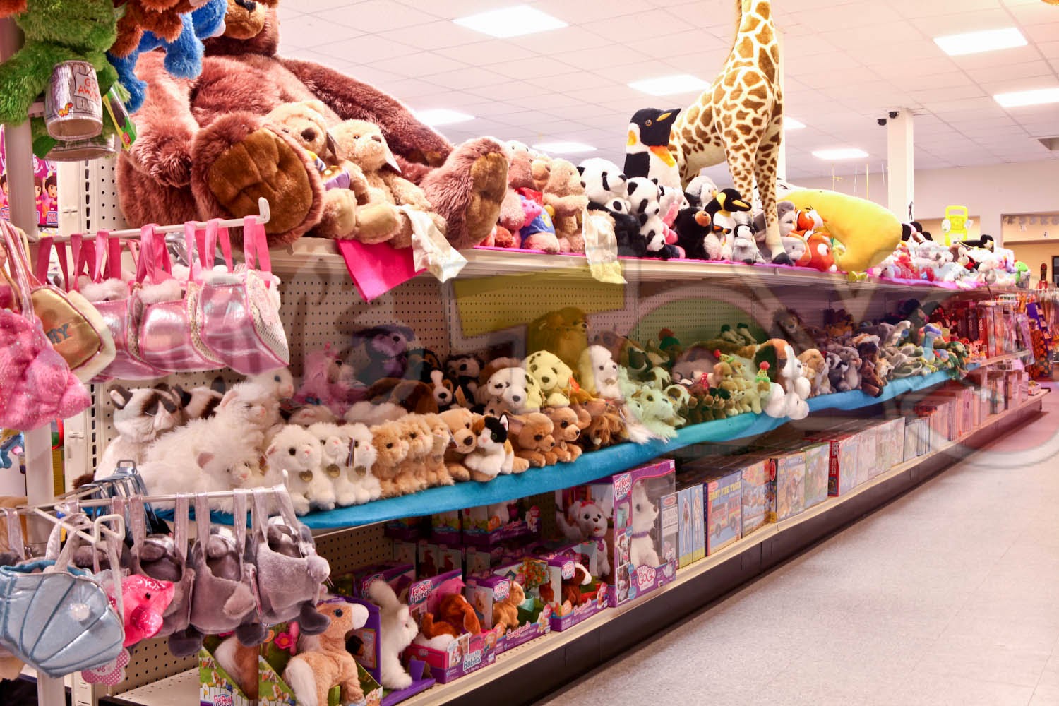 Photo of Justin's Toys in Glen Cove City, New York, United States - 5 Picture of Point of interest, Establishment, Store