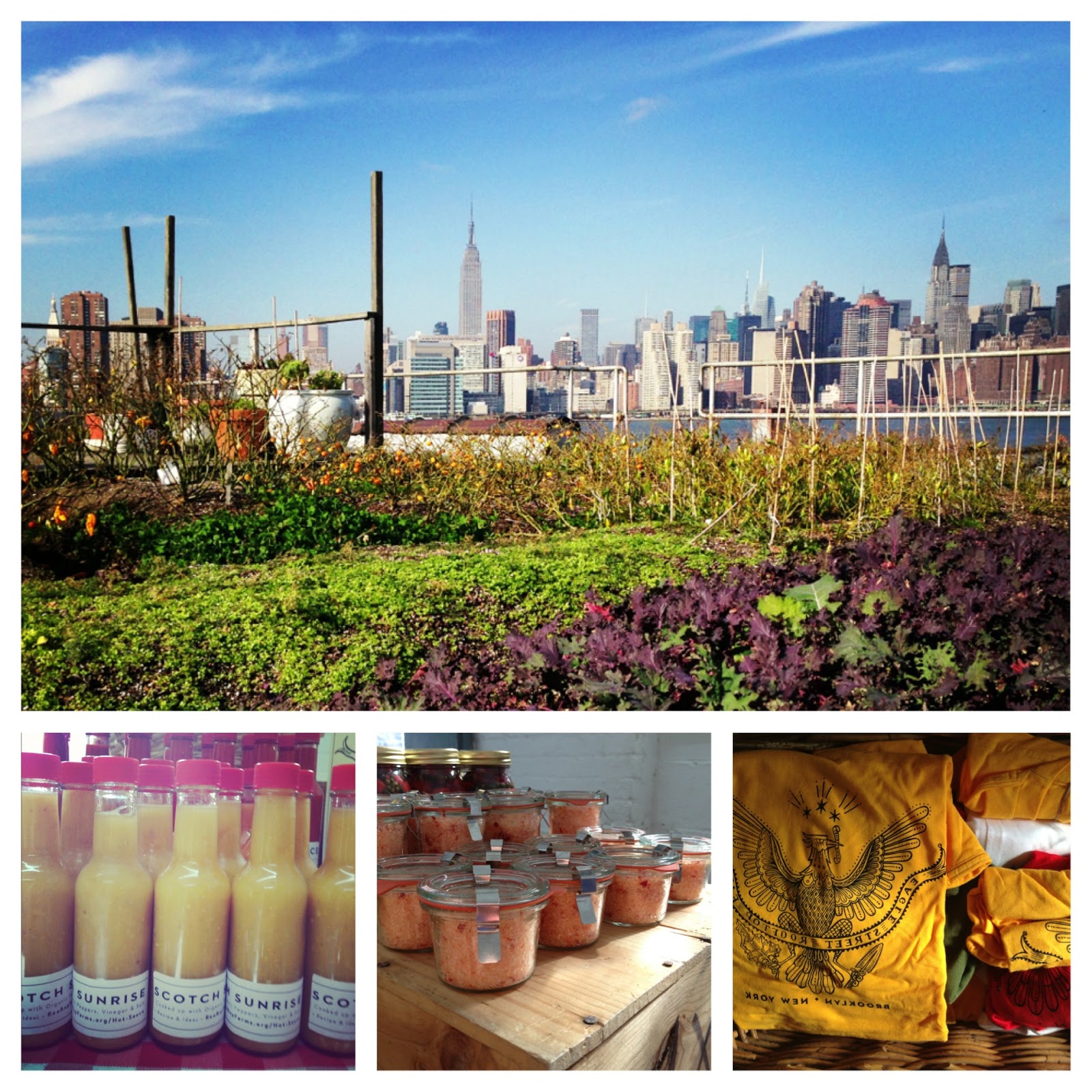 Photo of Eagle Street Rooftop Farm in Brooklyn City, New York, United States - 1 Picture of Food, Point of interest, Establishment