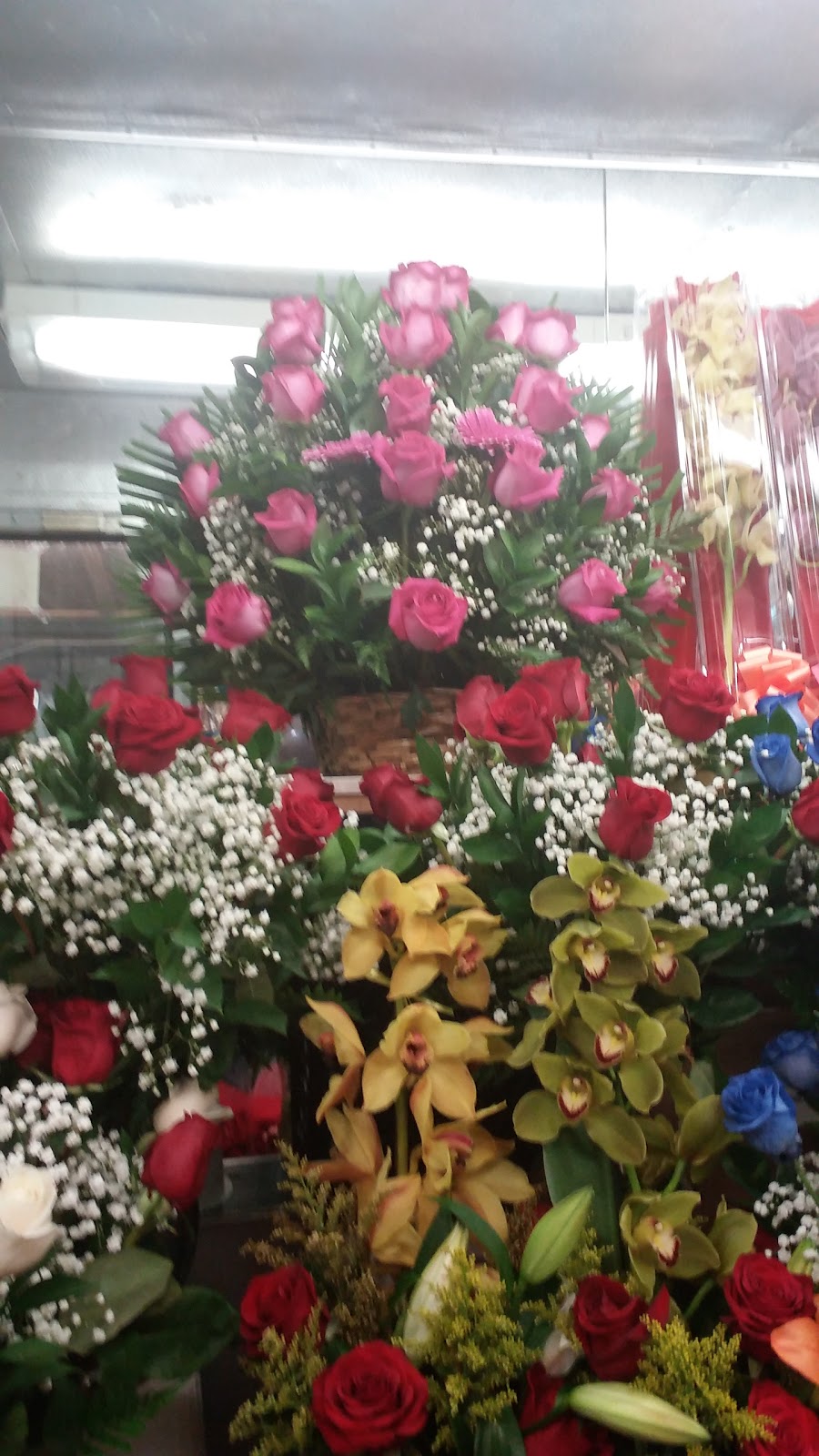 Photo of MariaLuz Flower Shop in Bronx City, New York, United States - 2 Picture of Point of interest, Establishment, Store, Florist