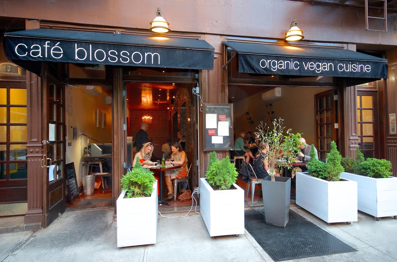 Photo of Blossom in New York City, New York, United States - 7 Picture of Restaurant, Food, Point of interest, Establishment, Bar