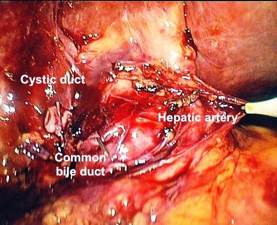 Photo of Dr. Andrew N de la Torre, MD in Englewood City, New Jersey, United States - 6 Picture of Point of interest, Establishment, Health, Doctor