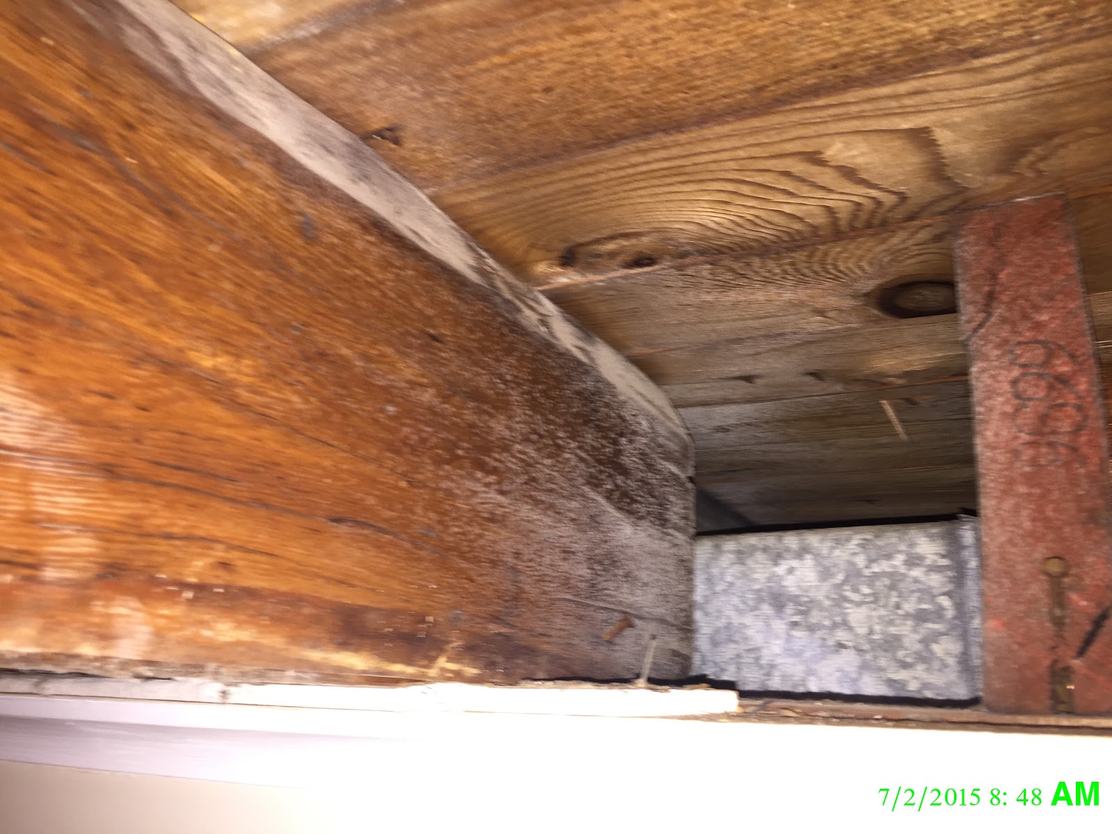 Photo of Mold Removal & Water Damage NYC in New York City, New York, United States - 7 Picture of Point of interest, Establishment, General contractor