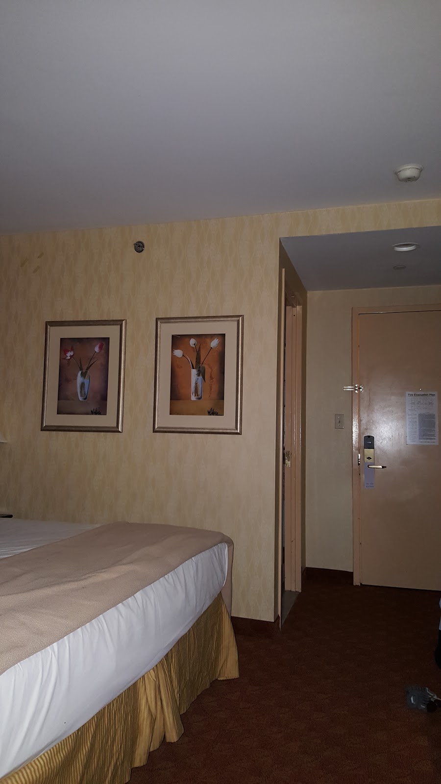 Photo of Lexington Inn at JFK Airport in Queens City, New York, United States - 9 Picture of Point of interest, Establishment, Lodging