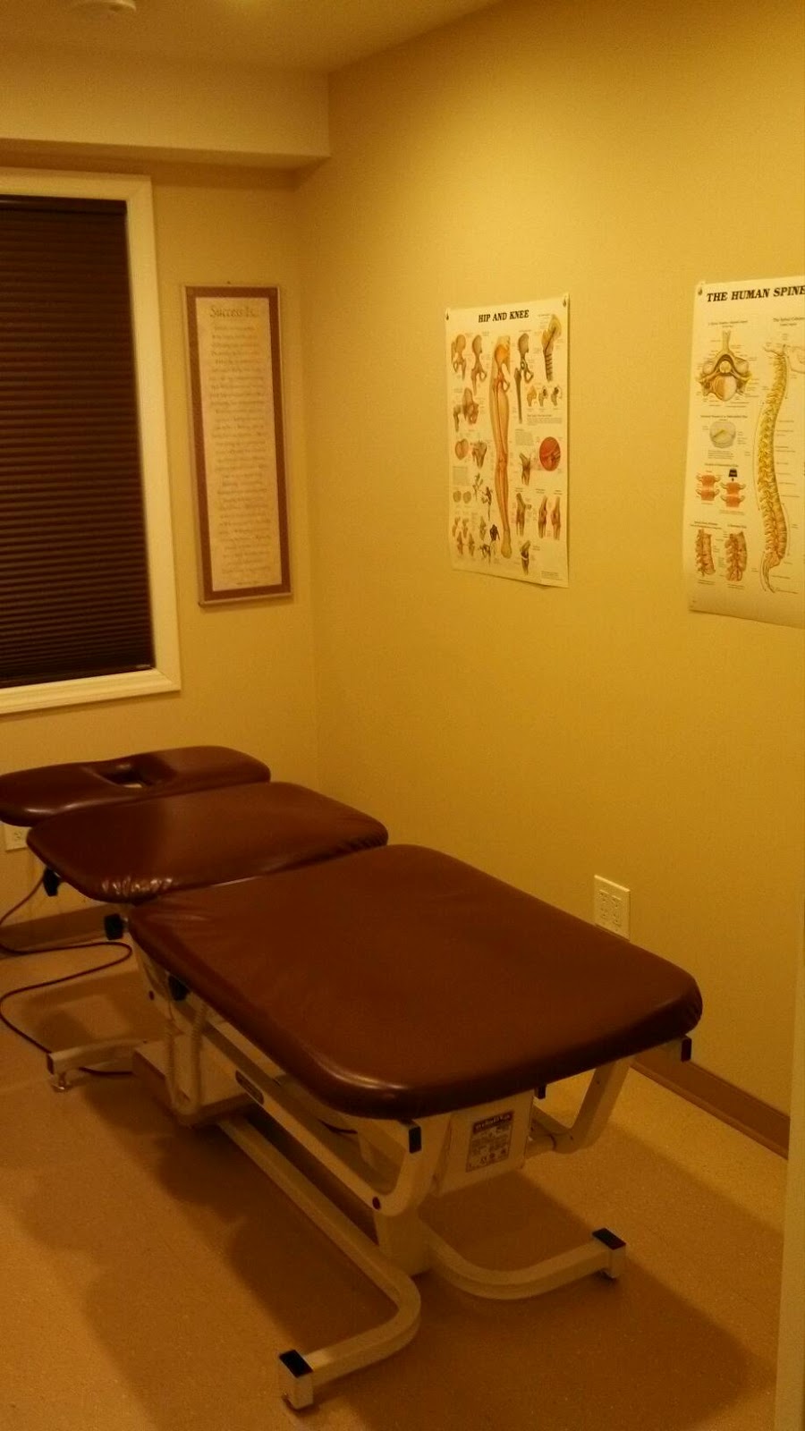 Photo of Alliance Physical Therapy PC: Macri, William S. in Richmond City, New York, United States - 3 Picture of Point of interest, Establishment, Health