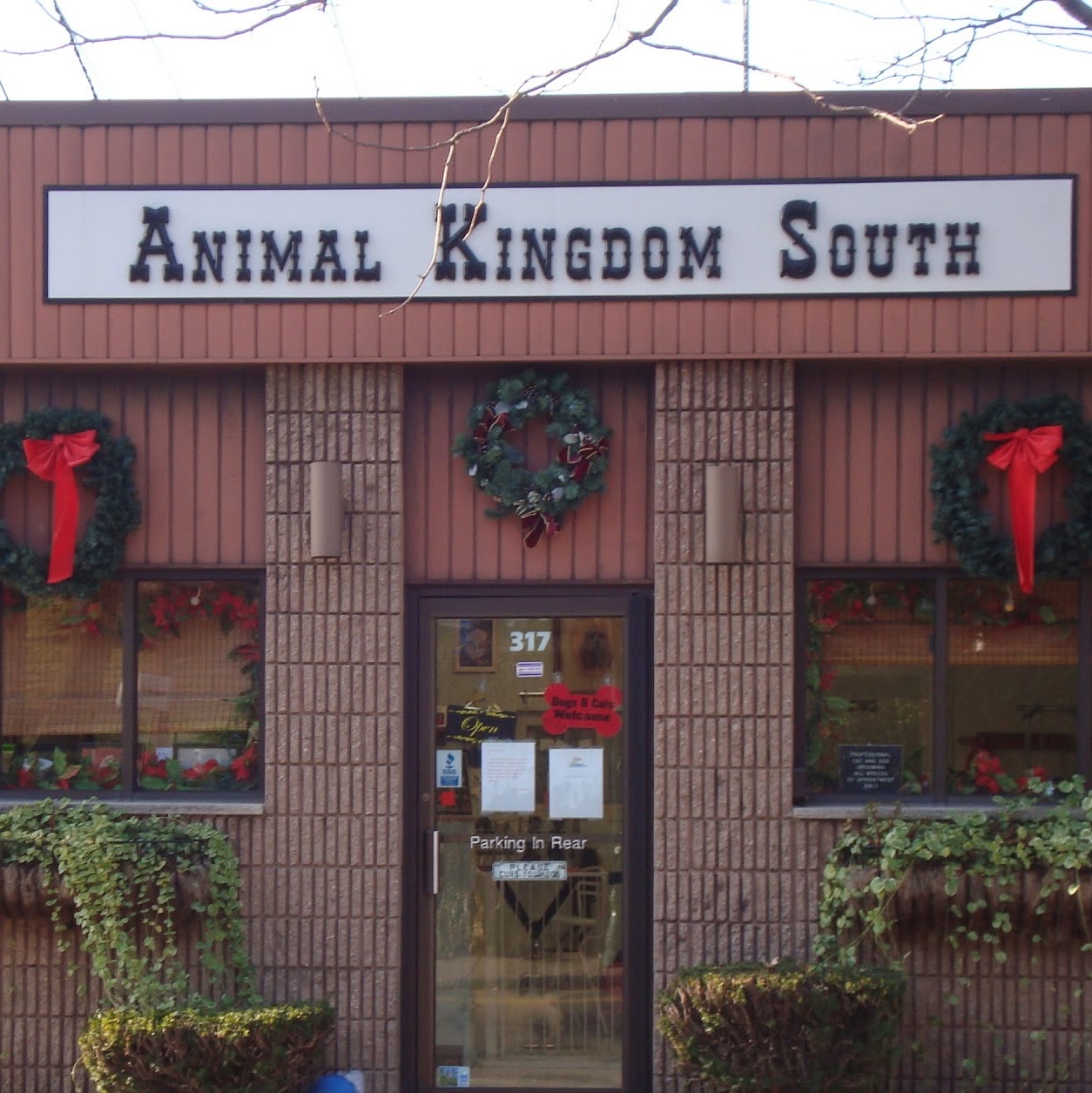 Photo of Animal Kingdom South in South Orange City, New Jersey, United States - 4 Picture of Point of interest, Establishment, Store, Pet store