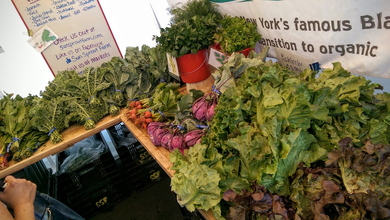 Photo of Bronxville Saturday Farmer Market in Bronxville City, New York, United States - 8 Picture of Food, Point of interest, Establishment, Store, Grocery or supermarket