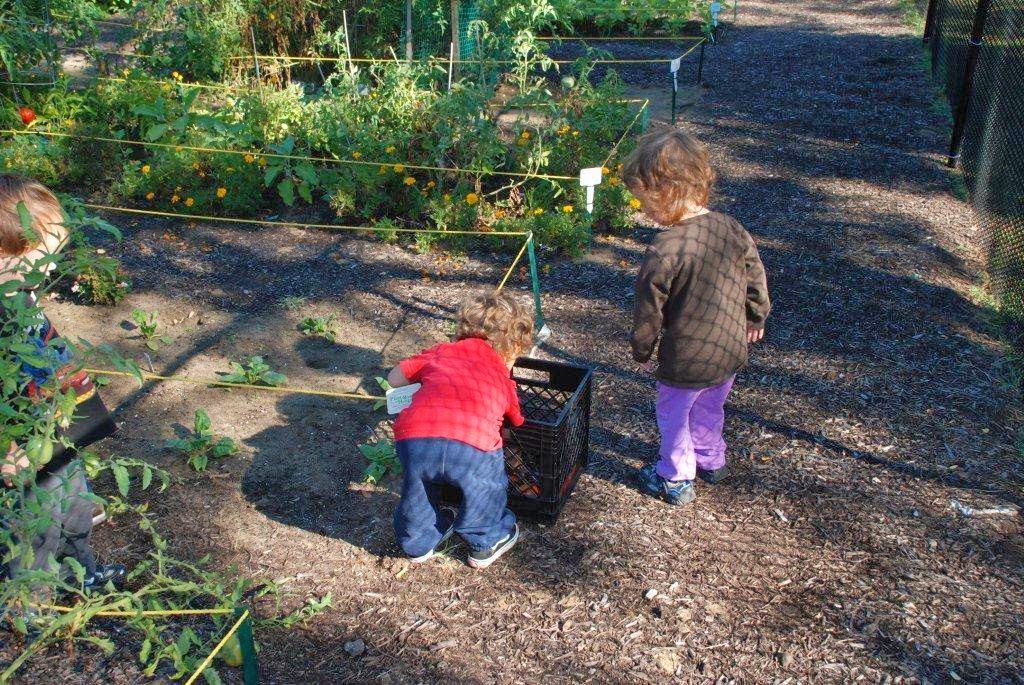 Photo of Westminster Nature Preschool in Middletown City, New Jersey, United States - 2 Picture of Point of interest, Establishment, School