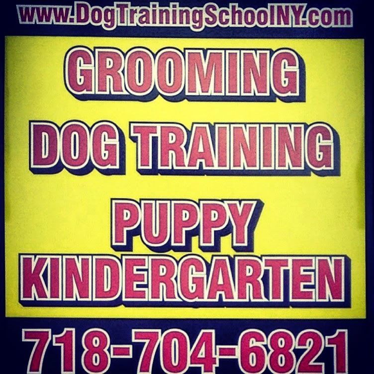 Photo of Confident K9 Education in Kings County City, New York, United States - 7 Picture of Point of interest, Establishment