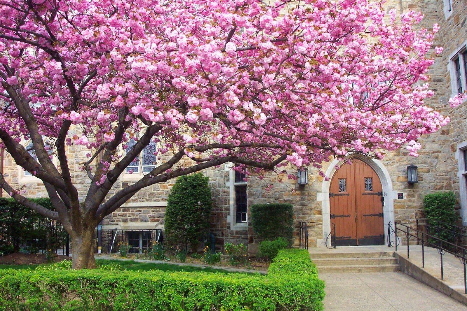 Photo of Larchmont Avenue Church (Presbyterian) in Larchmont City, New York, United States - 2 Picture of Point of interest, Establishment, School, Church, Place of worship