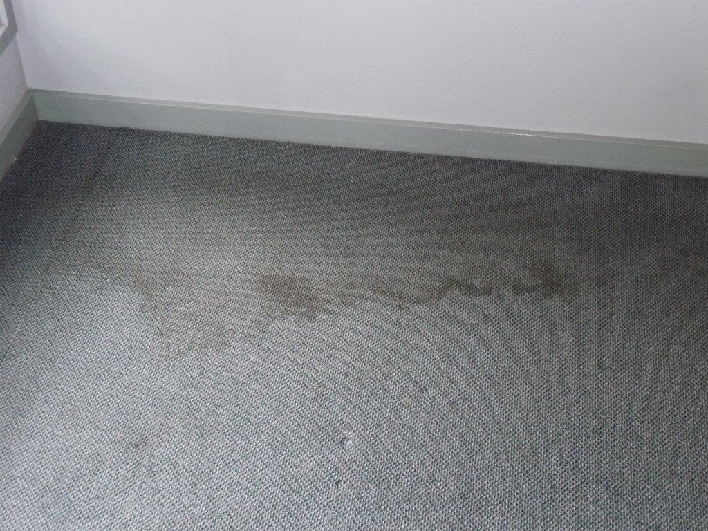 Photo of 212 Carpet cleaning in New York City, New York, United States - 5 Picture of Point of interest, Establishment, General contractor, Laundry