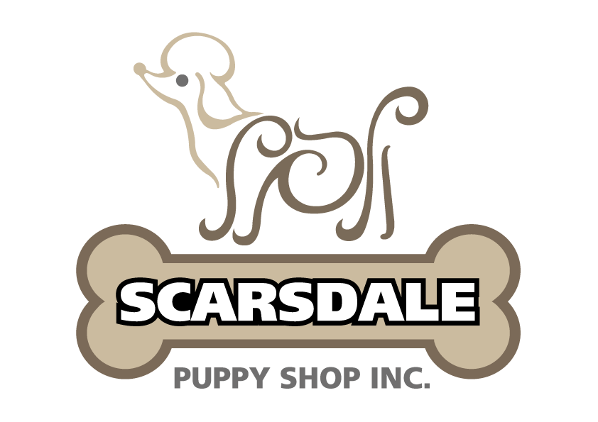 Photo of Scarsdale Puppy Shop in Scarsdale City, New York, United States - 2 Picture of Point of interest, Establishment, Store, Pet store