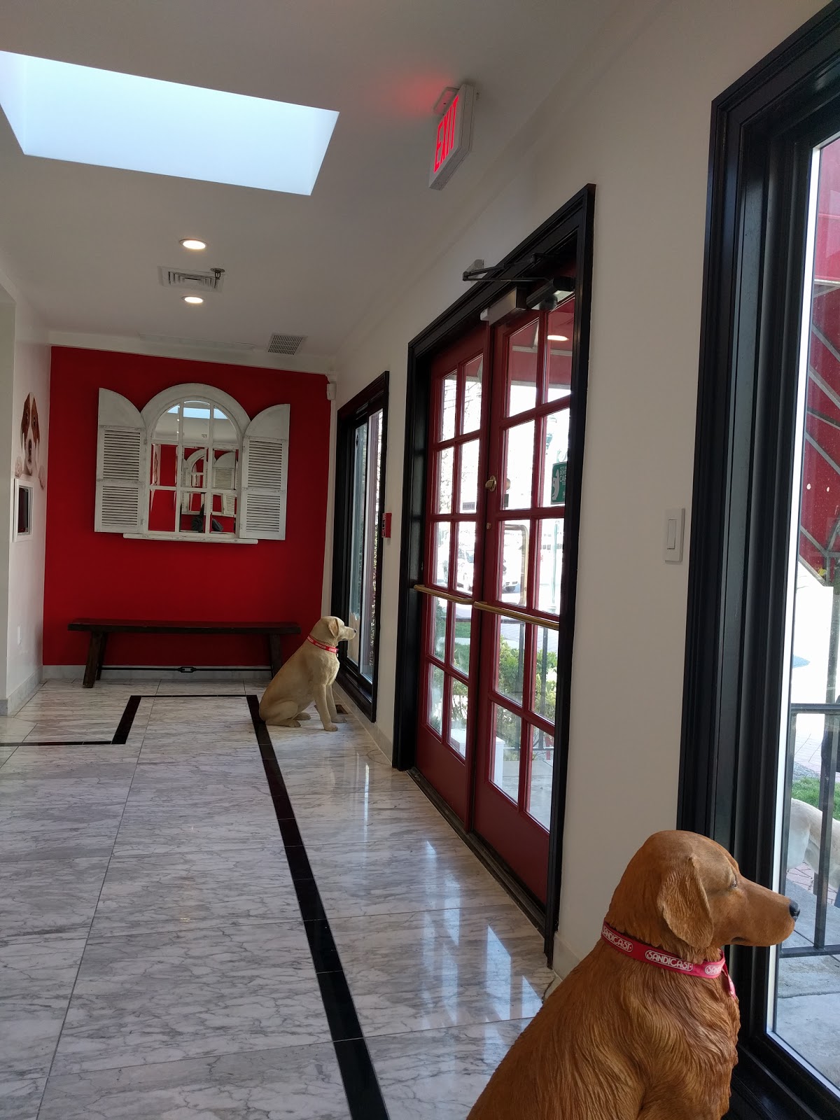 Photo of RED ROOF Fort Lee Animal Hospital in Fort Lee City, New Jersey, United States - 5 Picture of Point of interest, Establishment, Health, Veterinary care