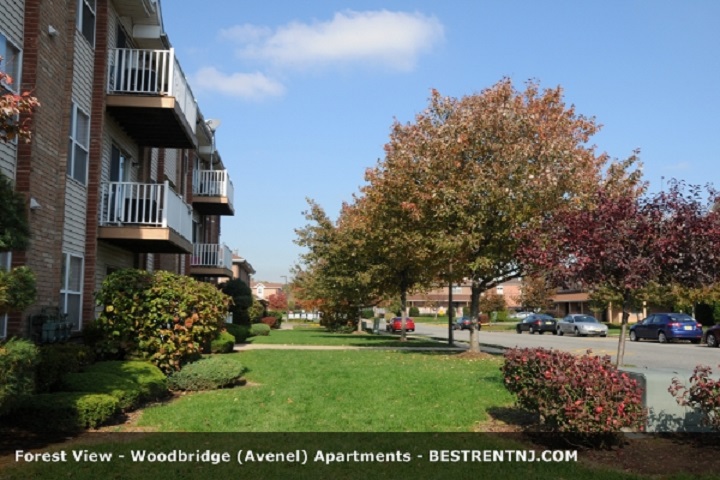 Photo of Forest View in Avenel City, New Jersey, United States - 3 Picture of Point of interest, Establishment, Real estate agency