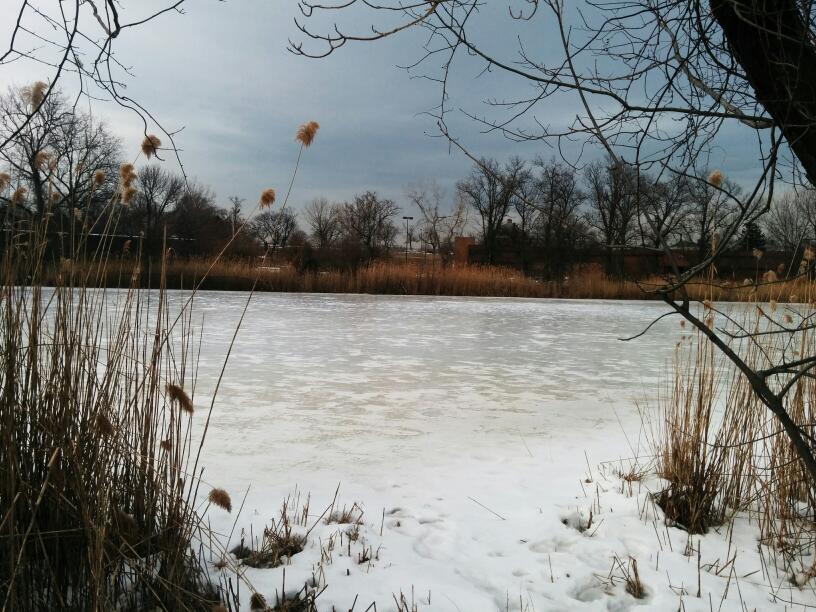 Photo of Fort Totten Park in Bayside City, New York, United States - 8 Picture of Point of interest, Establishment, Park