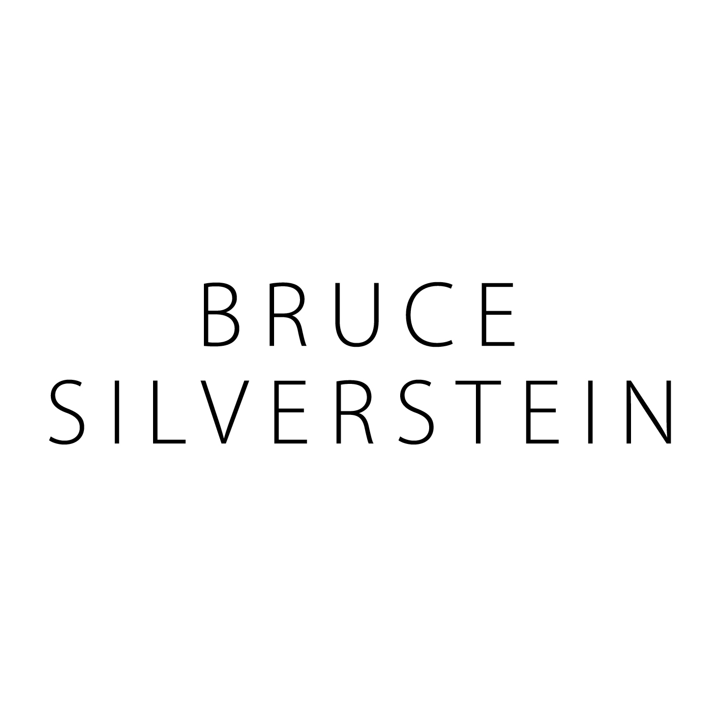 Photo of Bruce Silverstein Gallery in New York City, New York, United States - 4 Picture of Point of interest, Establishment, Art gallery