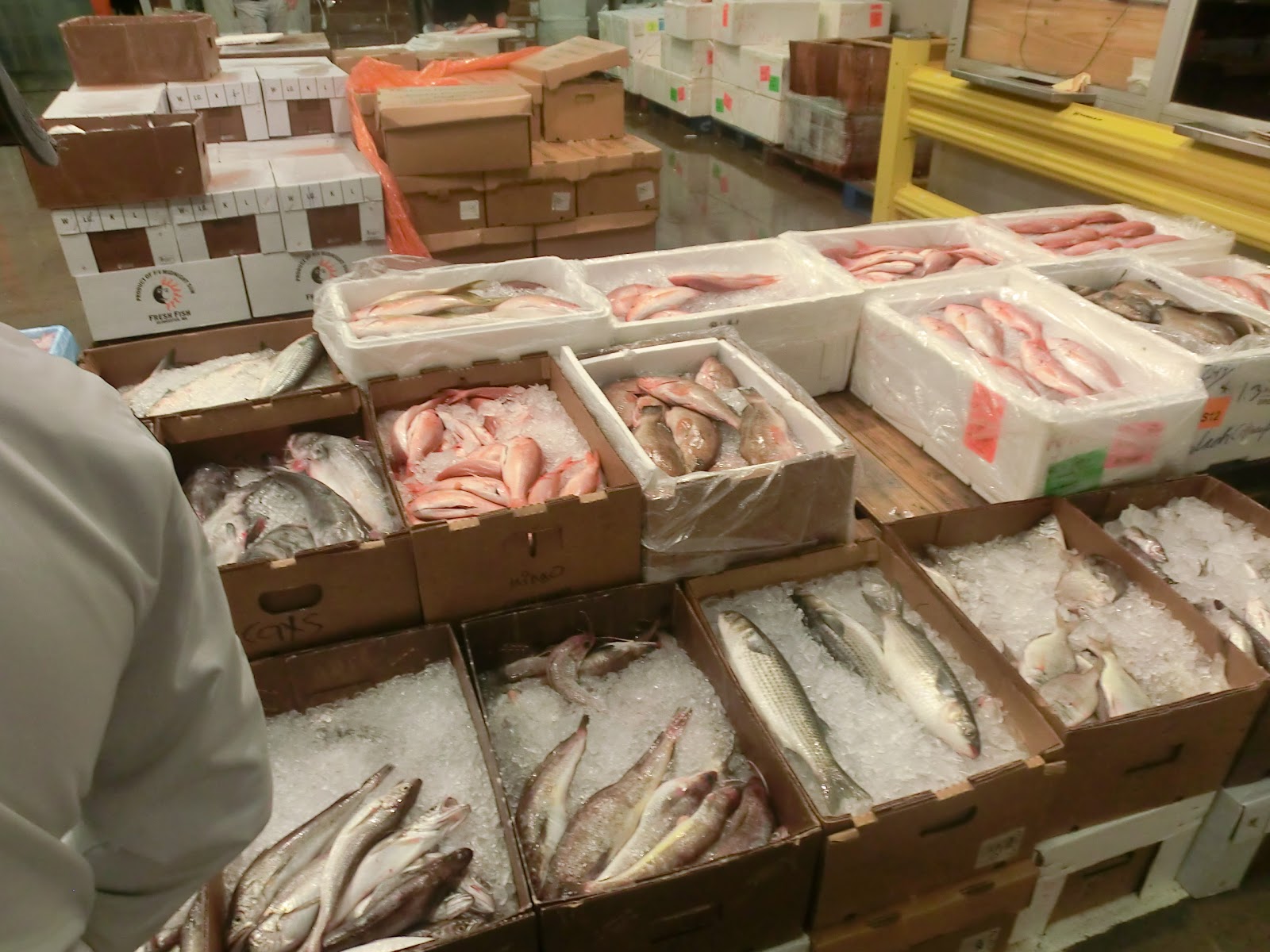 Photo of The New Fulton Fish Market in Bronx City, New York, United States - 7 Picture of Food, Point of interest, Establishment