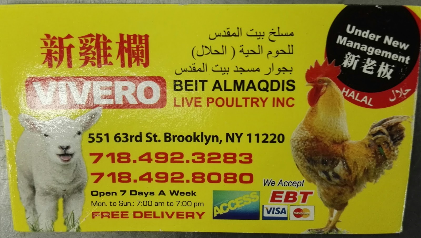 Photo of Beit Almaqdis Live Poultry Inc in Kings County City, New York, United States - 2 Picture of Food, Point of interest, Establishment
