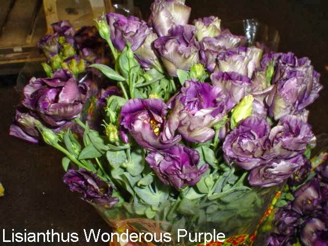 Photo of Calvert's Wholesale Flower in Middletown City, New Jersey, United States - 6 Picture of Point of interest, Establishment