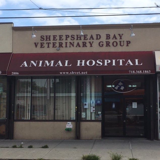 Photo of Sheepshead Bay Veterinary Group in Kings County City, New York, United States - 1 Picture of Point of interest, Establishment, Health, Veterinary care