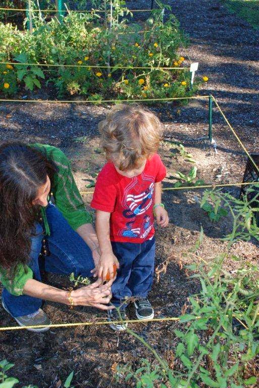 Photo of Westminster Nature Preschool in Middletown City, New Jersey, United States - 6 Picture of Point of interest, Establishment, School