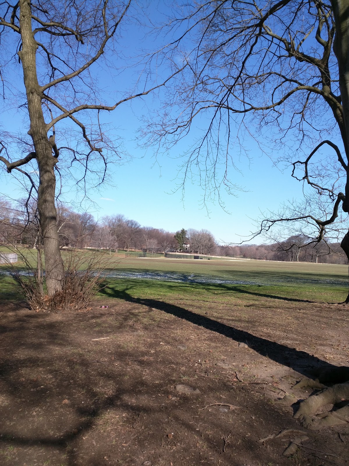 Photo of Long Meadow Ballfields in Brooklyn City, New York, United States - 6 Picture of Point of interest, Establishment, Park