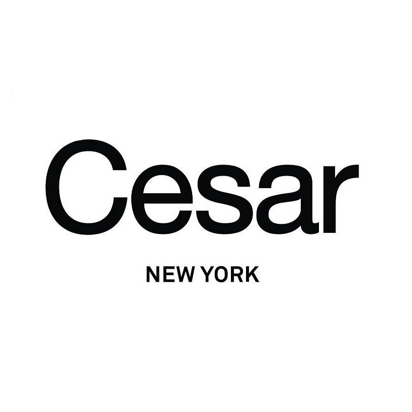 Photo of Cesar Flagship Store in New York City, New York, United States - 6 Picture of Point of interest, Establishment, Store, Home goods store, Furniture store