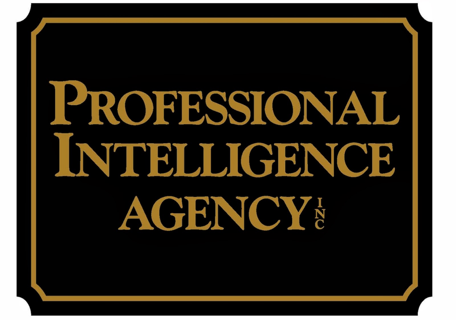 Photo of Professional Intelligence Agency in Floral Park City, New York, United States - 1 Picture of Point of interest, Establishment