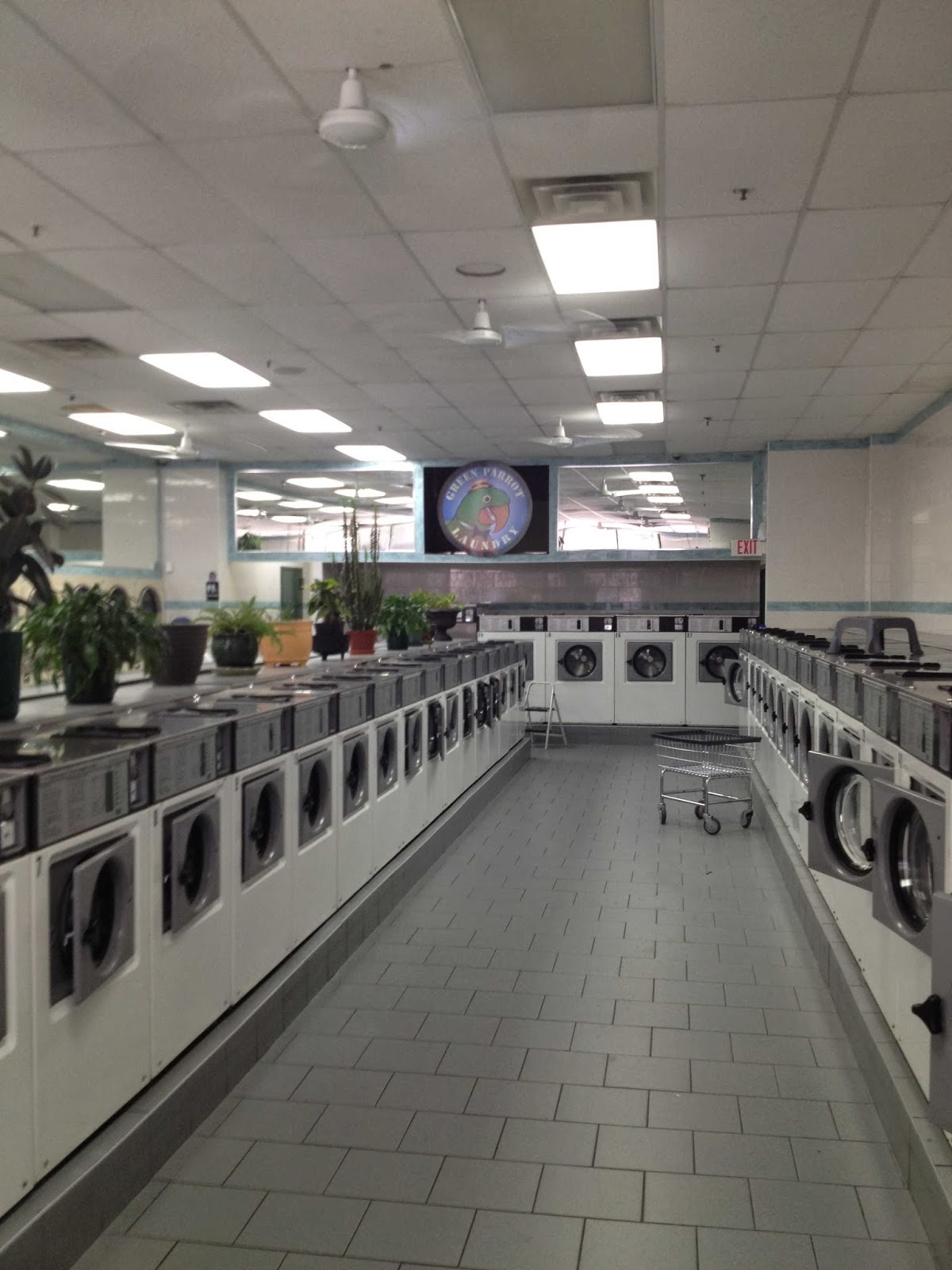 Photo of Green Parrot Laundromat in Bronx City, New York, United States - 1 Picture of Point of interest, Establishment, Laundry