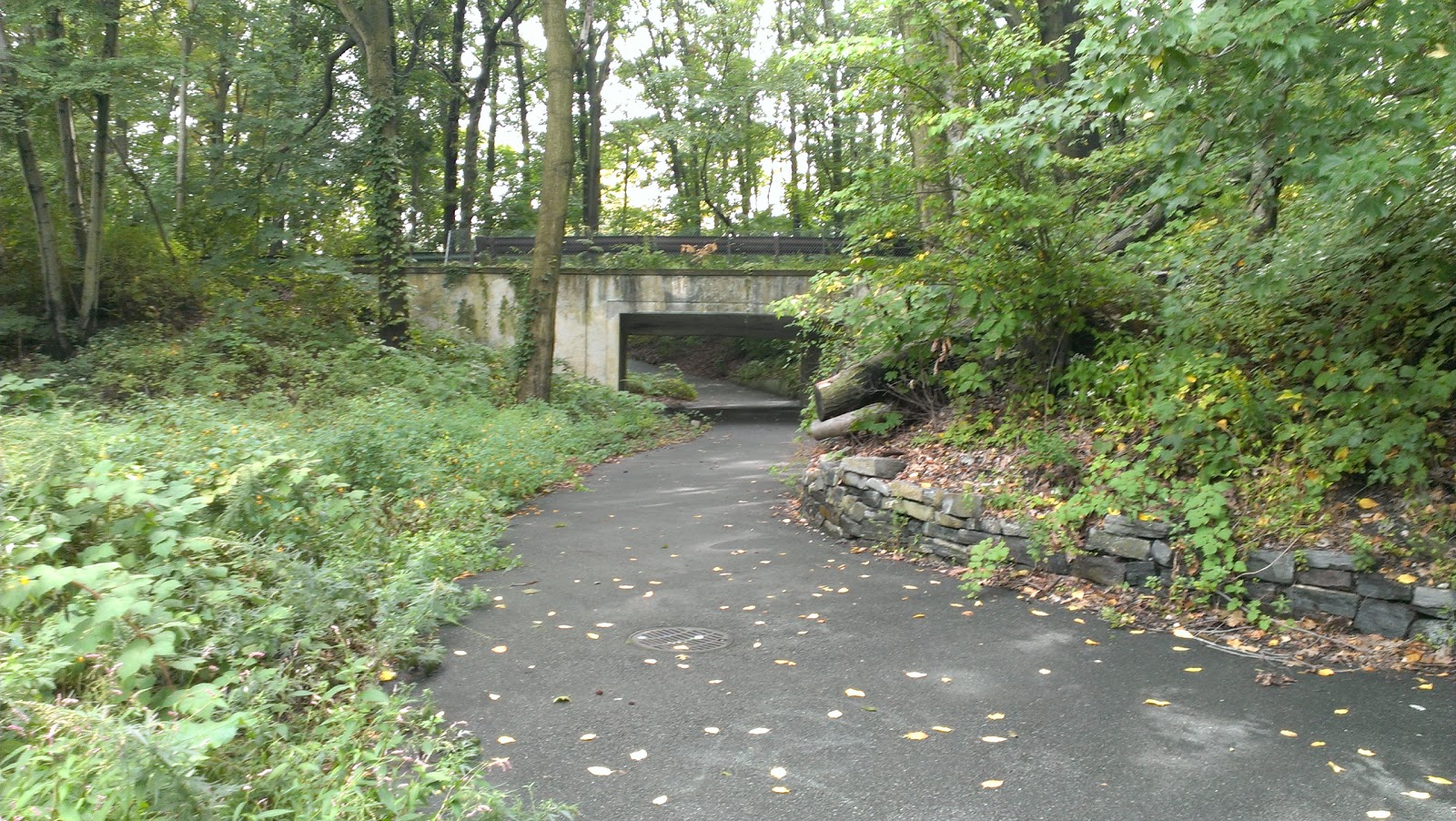 Photo of Motor Parkway Trail in Oakland Garden City, New York, United States - 2 Picture of Point of interest, Establishment, Park
