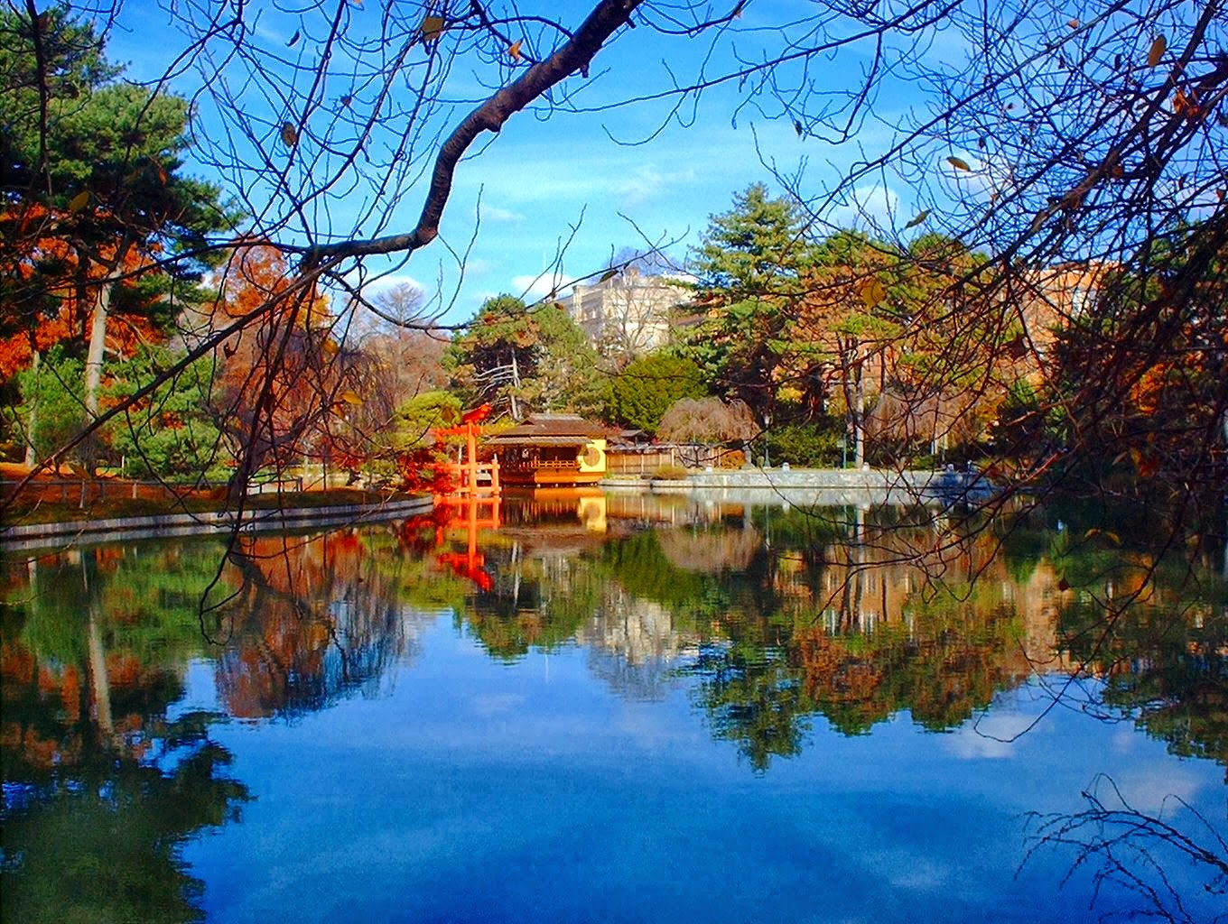 Photo of Japanese Hill-and-Pond Garden in Brooklyn City, New York, United States - 10 Picture of Point of interest, Establishment, Park